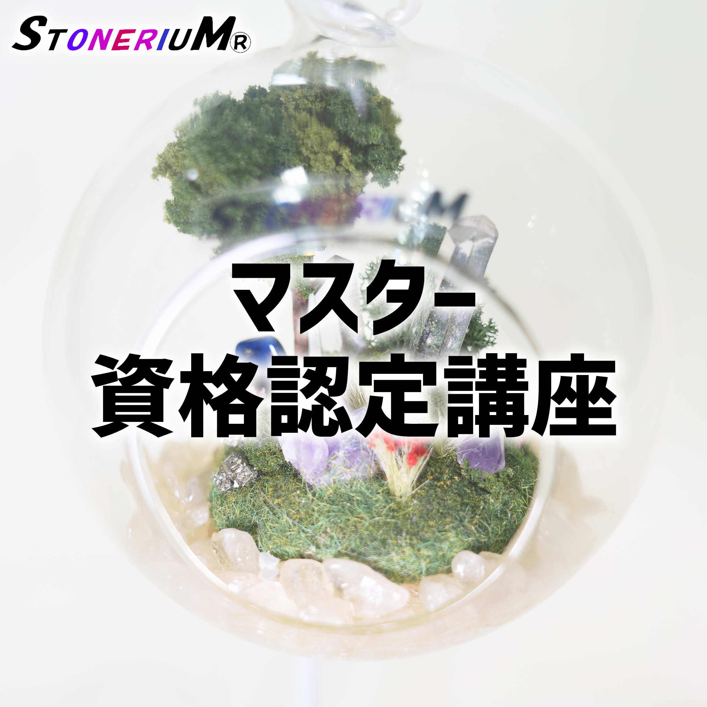 ストーンリム：マスター認定資格講座