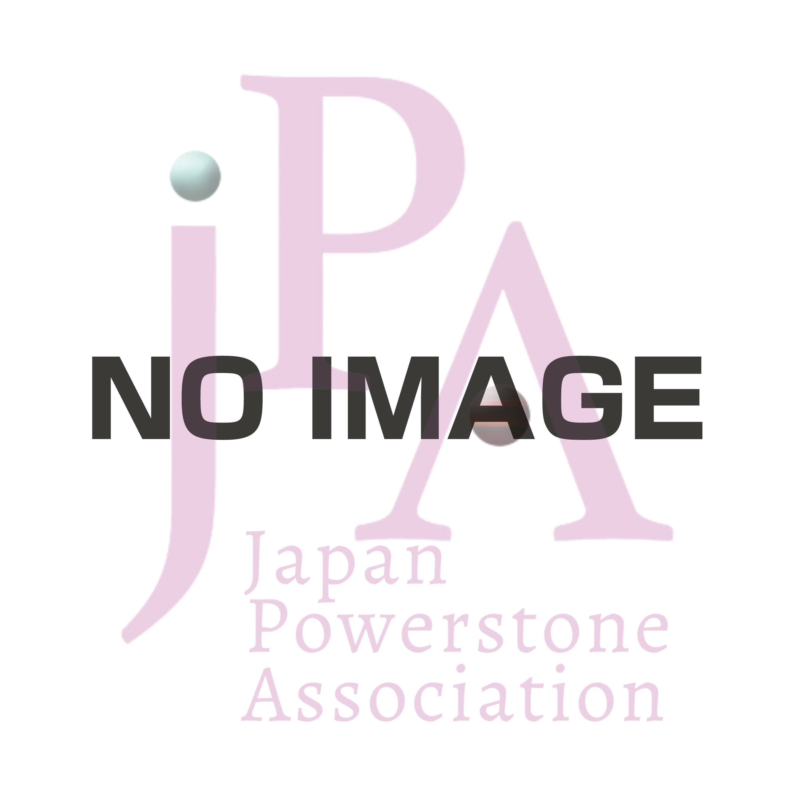 第29回ストーンコンダクター研修会のお知らせ